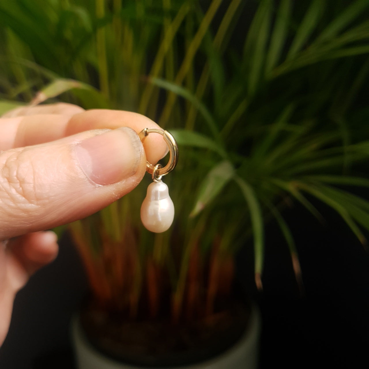 GOLD AND PEARL DROPS - WEAR WITH AMBER HUGGIE EARRINGS